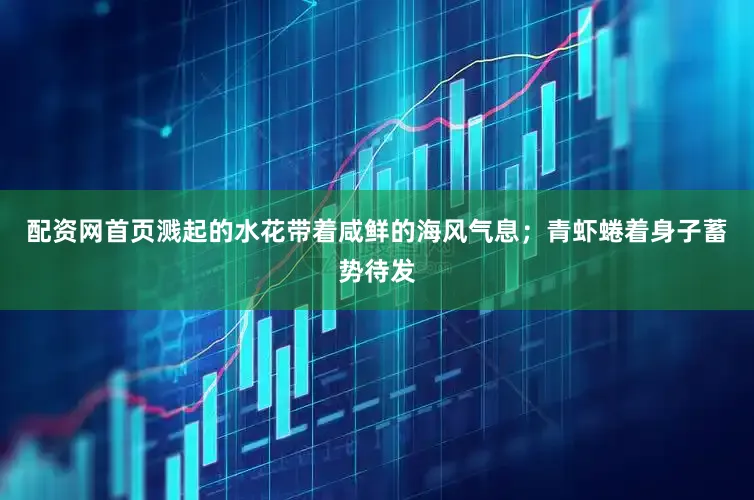 配资网首页溅起的水花带着咸鲜的海风气息；青虾蜷着身子蓄势待发